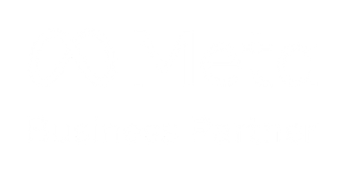 Meta Business Partner Logo, representing certified expertise in Facebook Ads campaign management.